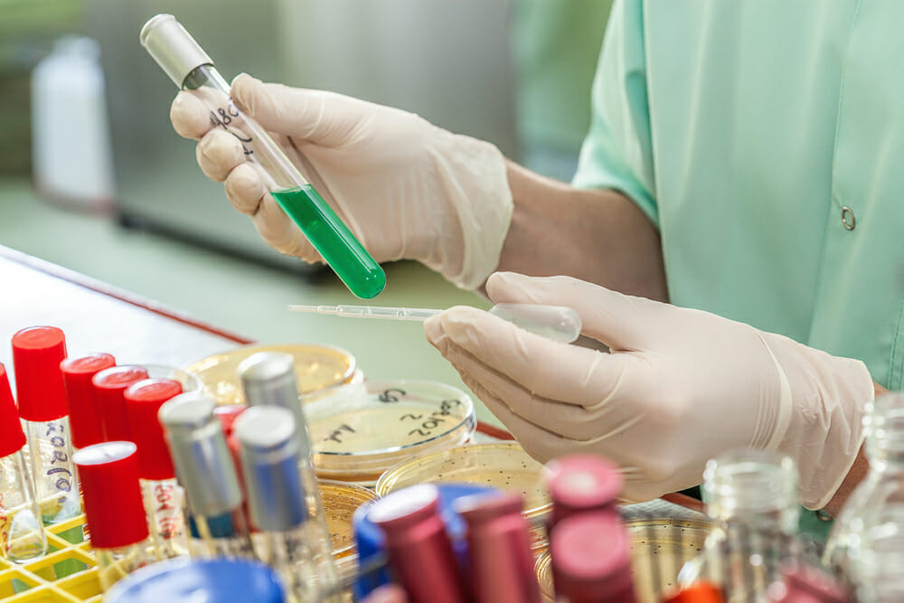 saliva drug test employment