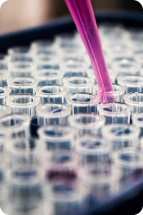 laboratory background checks