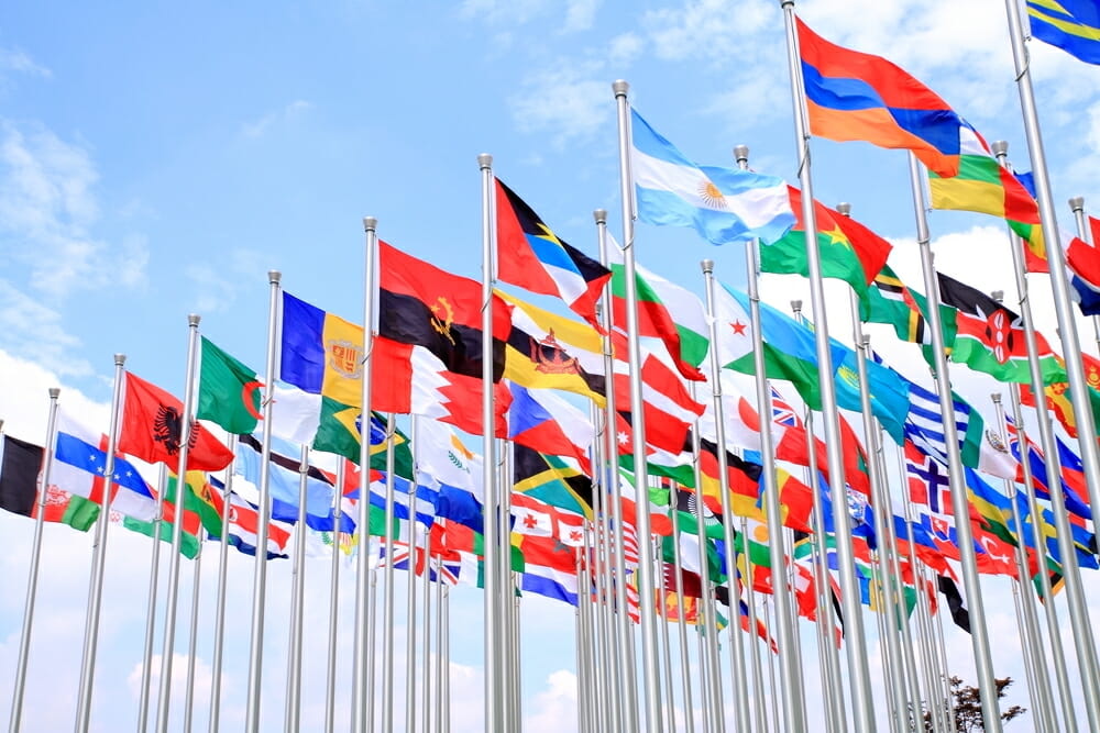 international-background-checks