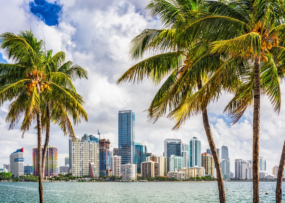 miami background check